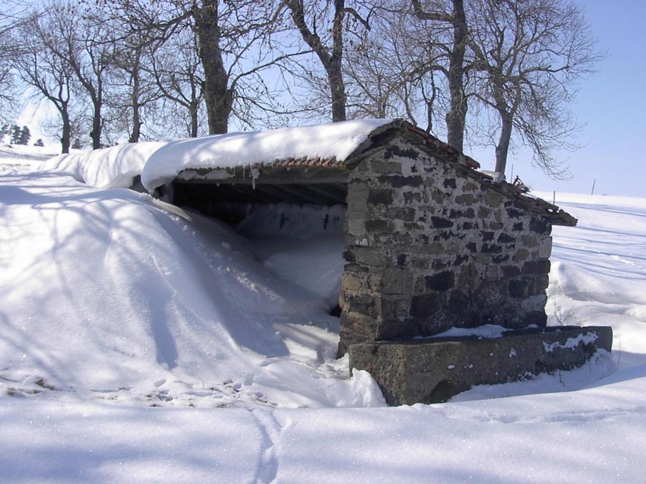 Maison De Famille Au Plateau Du Mezenc Les Vastres Exteriör bild